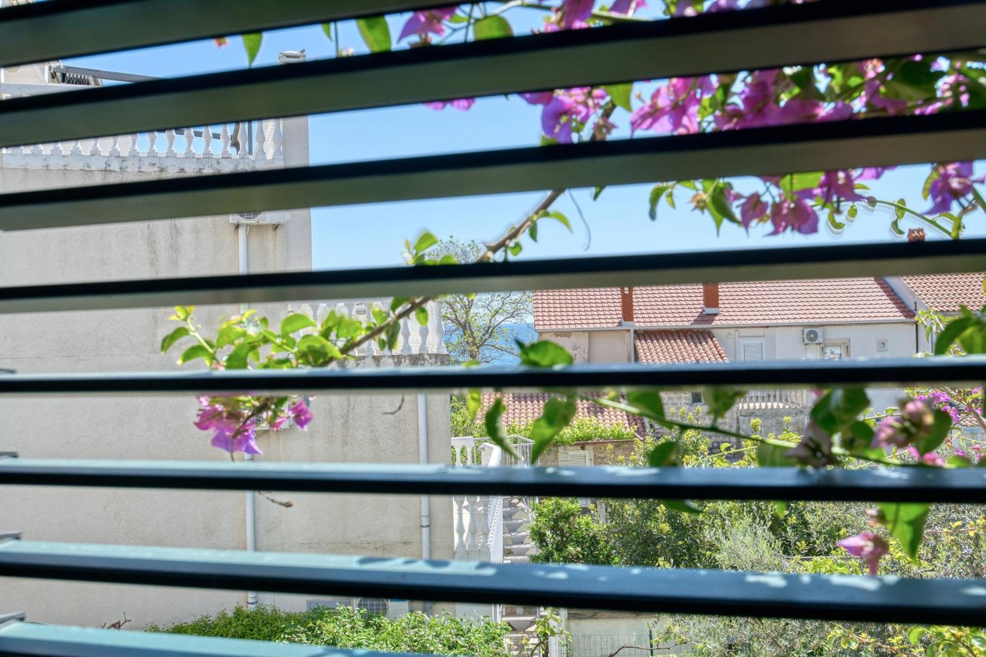 Apartman Zenta Petrovac Екстер'єр фото